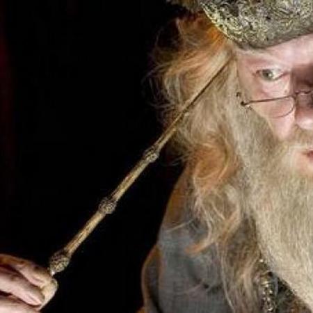 11 dumbledore